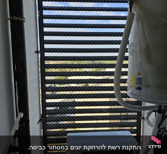 רשת מתכת על חלון למניעת כניסת יונים